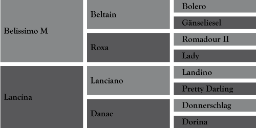 bellevue_pedigree bellevue_pedigree